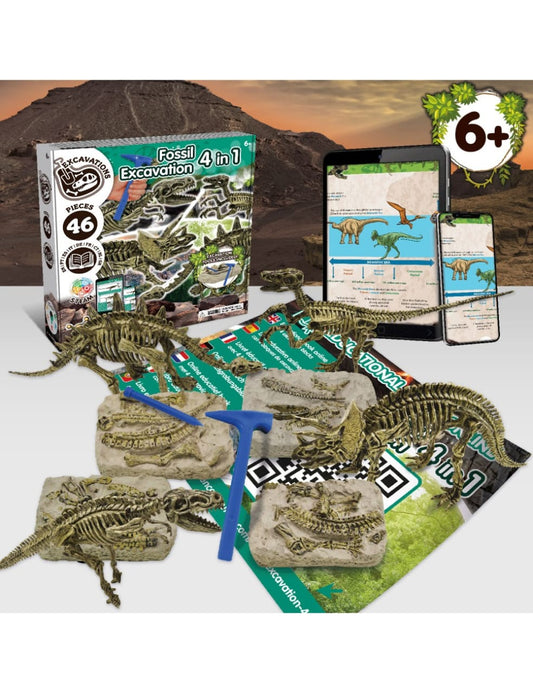 Fossil Excavation 4 in 1 - 46 Pieces