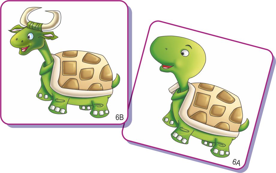 What's WRONG - 24 Sets of Two Piece RIGHT & WRONG Picture Cards