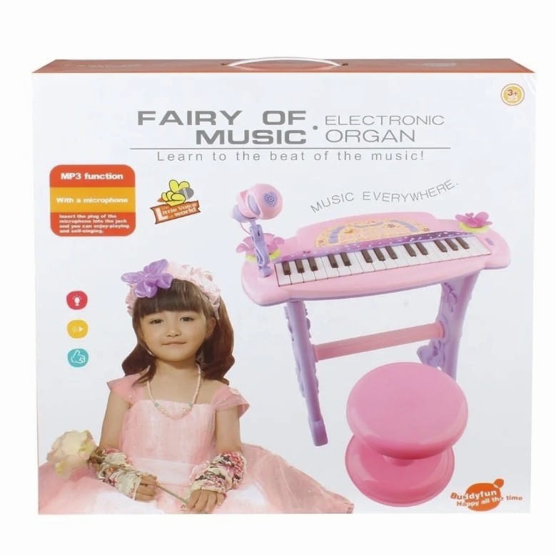 Electronic Organ - Microphone - MP3 Function